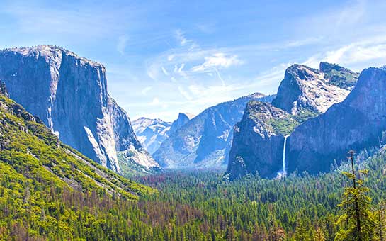 Kings Canyon National Park Travel Insurance