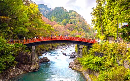 日光市旅游保险